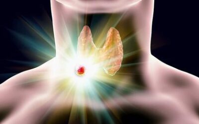 RF Ablation Effective for Large Benign Thyroid Nodules in US Study